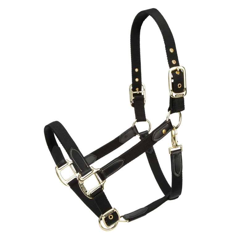 Load image into Gallery viewer, ARMA Porto Headcollar - Ashurst Equestrian &amp; Country
