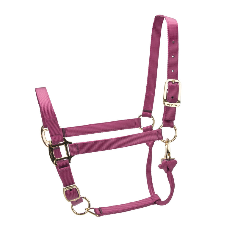 Load image into Gallery viewer, ARMA Premium Adjustable Headcollar - Ashurst Equestrian &amp; Country
