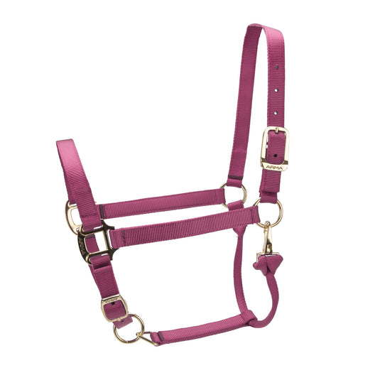 ARMA Premium Adjustable Headcollar - Ashurst Equestrian & Country