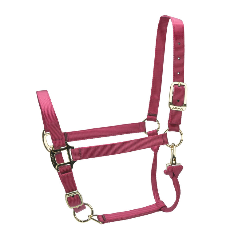 Load image into Gallery viewer, ARMA Premium Adjustable Headcollar - Ashurst Equestrian &amp; Country
