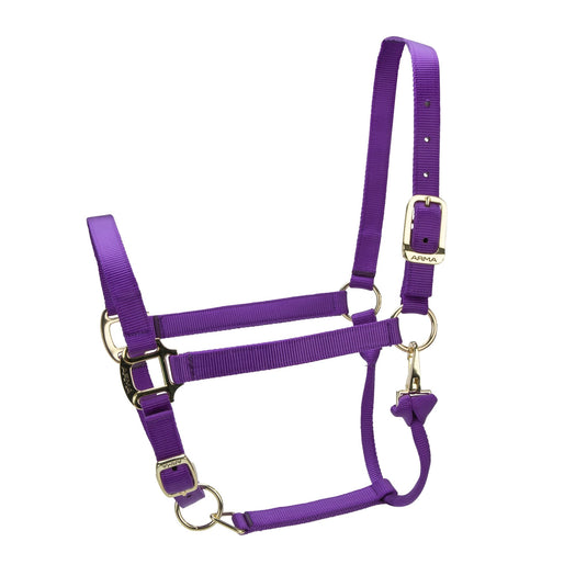 ARMA Premium Adjustable Headcollar - Ashurst Equestrian & Country