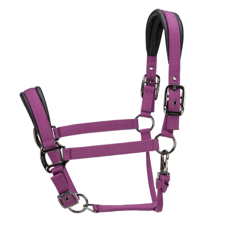 Load image into Gallery viewer, ARMA Pro Padded Headcollar - Ashurst Equestrian &amp; Country
