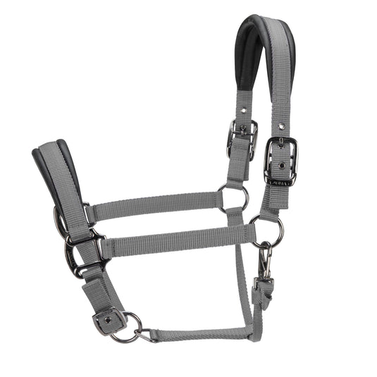 ARMA Pro Padded Headcollar - Ashurst Equestrian & Country