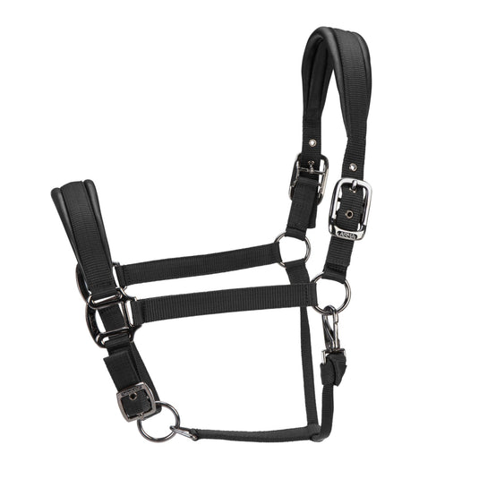 ARMA Pro Padded Headcollar - Ashurst Equestrian & Country
