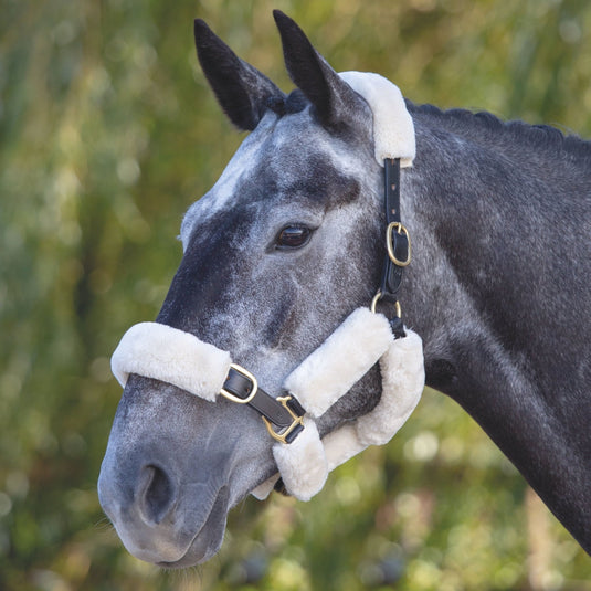 ARMA SupaFleece Halter Fleeces - Ashurst Equestrian & Country