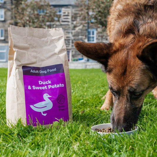 Ashurst Adult Dog Grain Free Duck & Sweet Potato - Ashurst Equestrian & Country