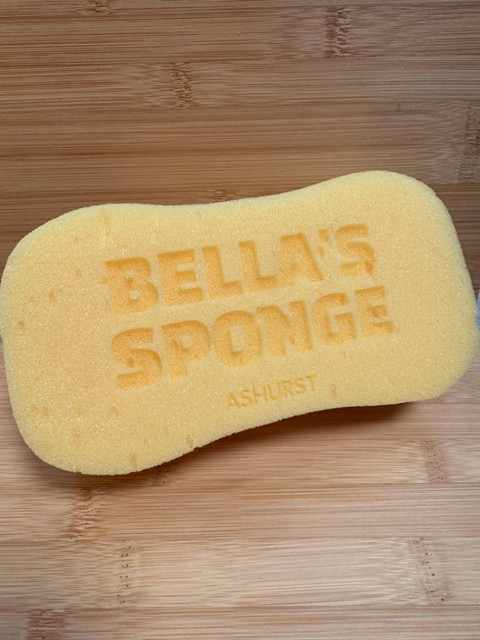 Ashurst Engraved Horse Care Sponge (Carr & Day & Martin) - Ashurst Equestrian & Country