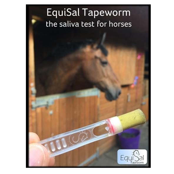 Load image into Gallery viewer, Ashurst EquiSal Tapeworm Test Kit - Ashurst Equestrian &amp; Country
