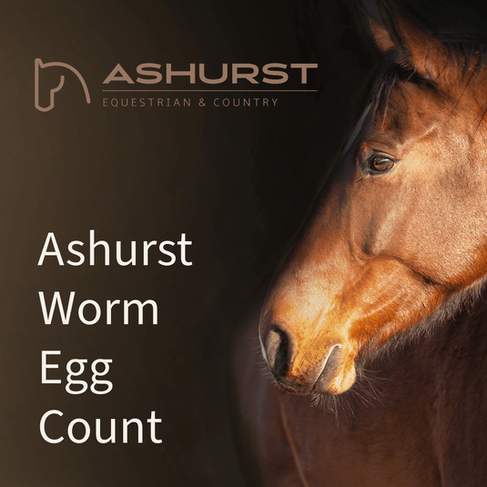 Ashurst Horse Worm Egg Count Test - Ashurst Equestrian & Country