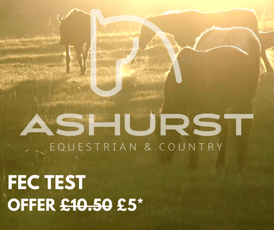 Ashurst Horse Worm Egg Count Test - Ashurst Equestrian & Country