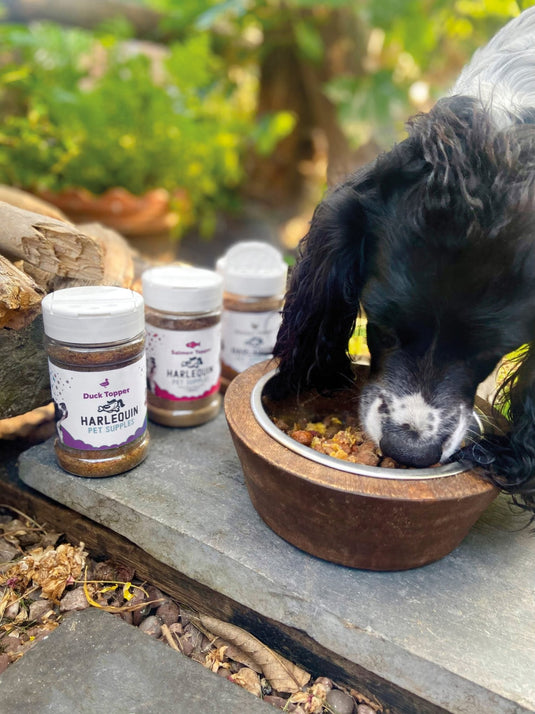 Ashurst Pure Meat Meal Toppers - Ashurst Equestrian & Country