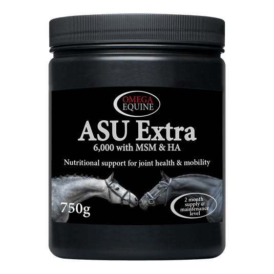 ASU Extra - Ashurst Equestrian & Country
