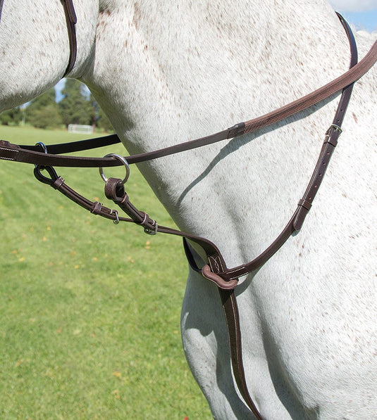 Avignon Running Martingale - Ashurst Equestrian & Country