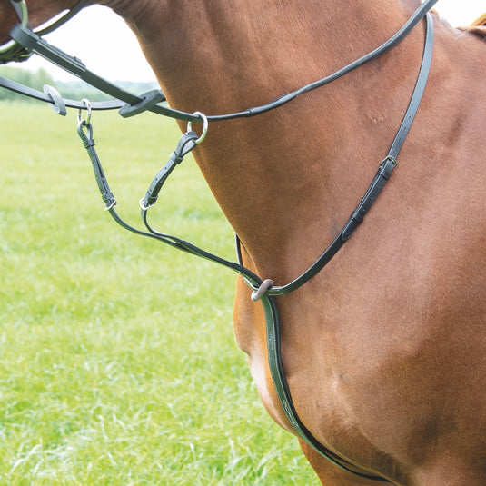 Avignon Running Martingale - Ashurst Equestrian & Country