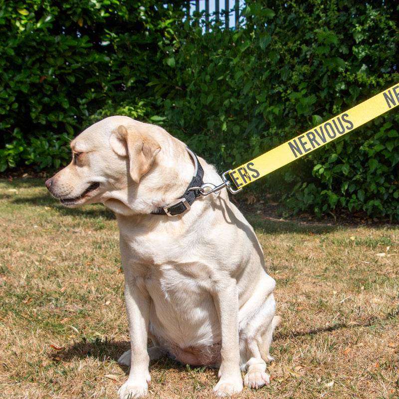 Load image into Gallery viewer, Awareness Training &amp; Safety Dog lead 1.5m 'Hi-Vis NERVOUS' - Ashurst Equestrian &amp; Country
