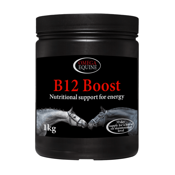 B12 Boost - Ashurst Equestrian & Country