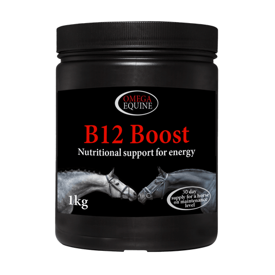B12 Boost - Ashurst Equestrian & Country