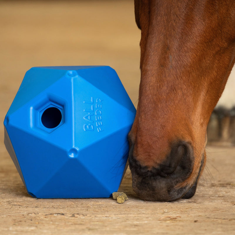 Load image into Gallery viewer, Ball Feeder - Ashurst Equestrian &amp; Country

