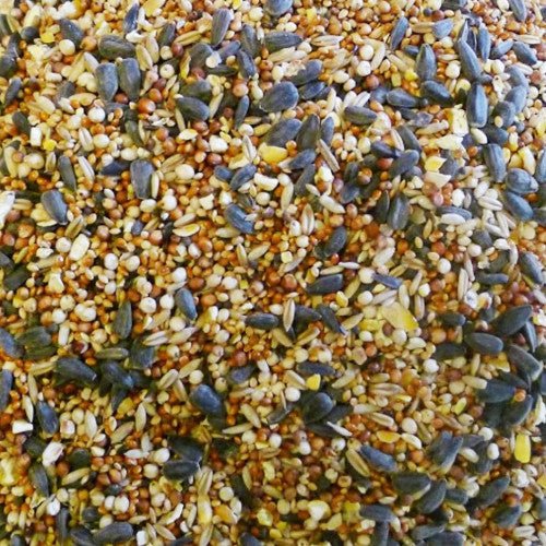 Bartholomews F1 Wild Bird Seed 20kg - Ashurst Equestrian & Country
