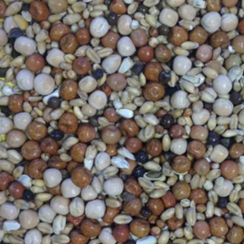 Bartholomews Gem Trapping & Conditioning Pigeon 20kg - Ashurst Equestrian & Country