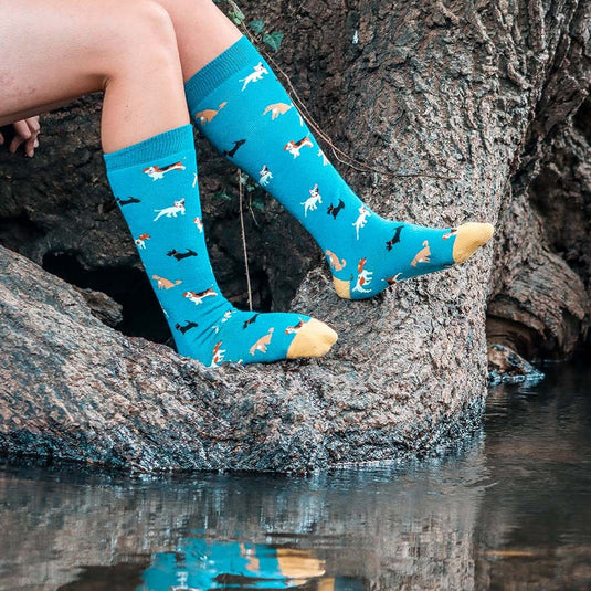 Bartleby Funky Welly Socks Ladies Doggy Diva - Ashurst Equestrian & Country