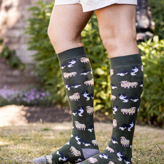 Bartleby Funky Welly Socks Mens Sheep & Sheepdog - Ashurst Equestrian & Country