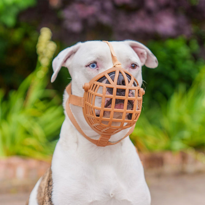 Baskerville Wide Fit Basket Muzzle - Ashurst Equestrian & Country