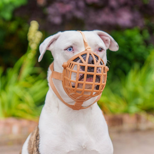 Baskerville Wide Fit Basket Muzzle - Ashurst Equestrian & Country