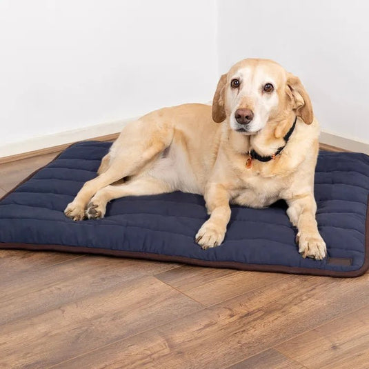 Benji & Flo Comfort Dog Bed Navy/Chocolate - Ashurst Equestrian & Country