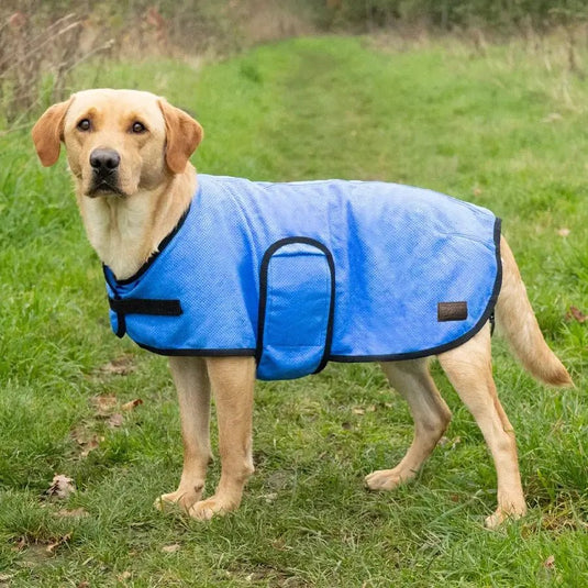 Benji & Flo Cooling Dog Coat Blue - Ashurst Equestrian & Country