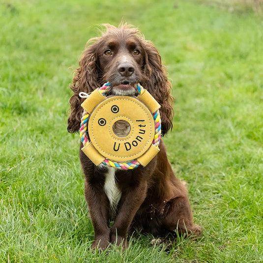 Benji & Flo Crazy Faces Dog Toys U Donut! - Ashurst Equestrian & Country