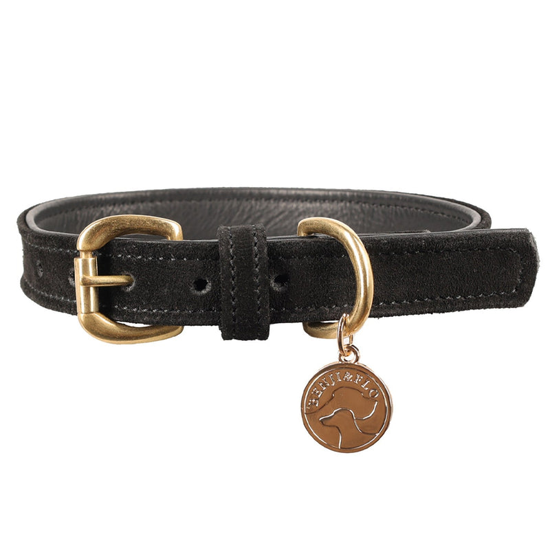 Load image into Gallery viewer, Benji &amp; Flo Noble Suede Dog Collar Black/Gold - Ashurst Equestrian &amp; Country
