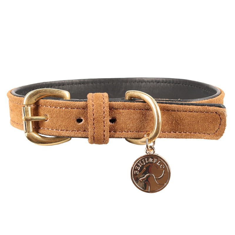 Load image into Gallery viewer, Benji &amp; Flo Noble Suede Dog Collar Tan/Gold - Ashurst Equestrian &amp; Country
