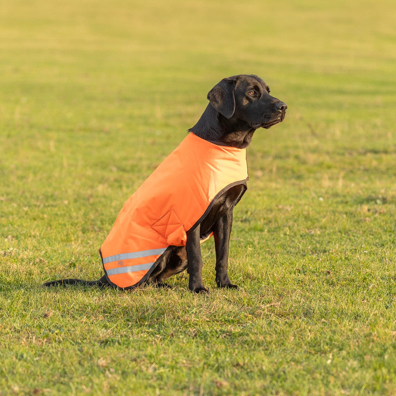 Load image into Gallery viewer, Benji &amp; Flo Reflector Waterproof Dog Coat Orange - Ashurst Equestrian &amp; Country
