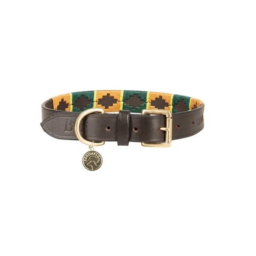 Benji & Flo Sublime Polo Leather Dog Collar Green/Gold - Ashurst Equestrian & Country