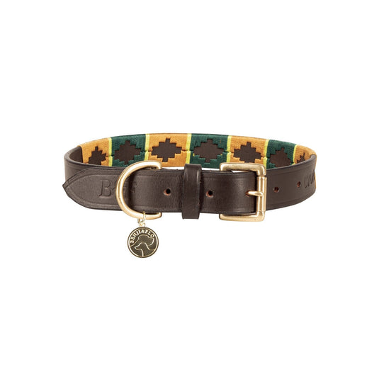 Benji & Flo Sublime Pololeather Dog Lead Green/Gold - Ashurst Equestrian & Country
