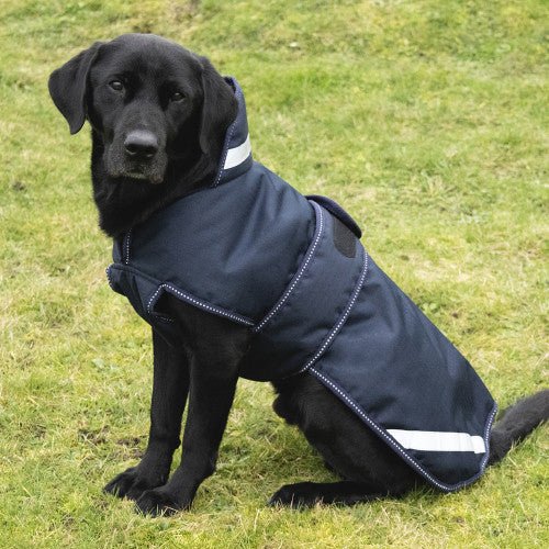 Benji & Flo Waterproof Dog Coat Navy/Reflective Silver - Ashurst Equestrian & Country