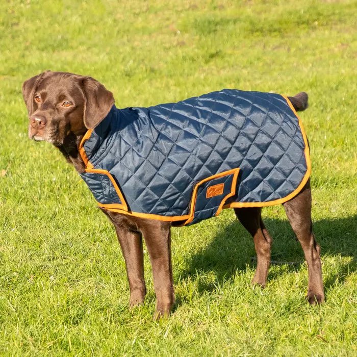 Load image into Gallery viewer, Benji &amp; Flow Teddy Quilted Dogcoat - Ashurst Equestrian &amp; Country
