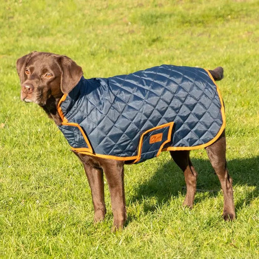 Benji & Flow Teddy Quilted Dogcoat - Ashurst Equestrian & Country