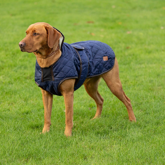 Benji & Flow Teddy Quilted Dogcoat Navy / Chocolate - Ashurst Equestrian & Country