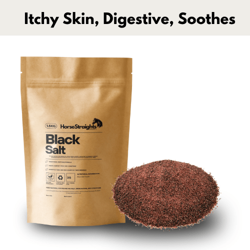 Black Salt - Ashurst Equestrian & Country