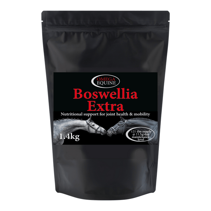 Boswellia Extra - Ashurst Equestrian & Country