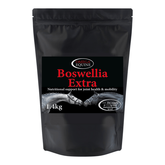 Boswellia Extra - Ashurst Equestrian & Country