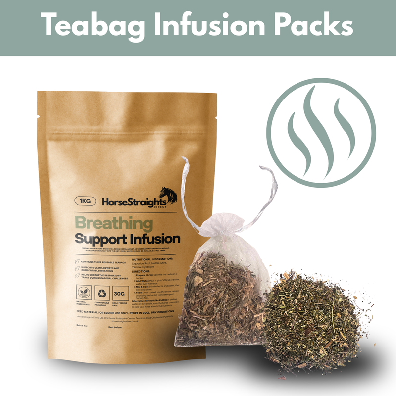 Load image into Gallery viewer, Breathing Support Infusion (Reusable Teabags)
