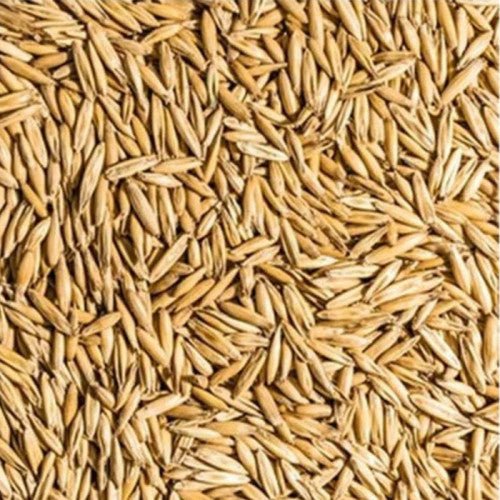 Bruised Oats 20kg (Copy) - Ashurst Equestrian & Country