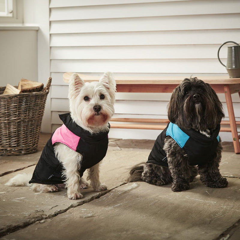 Load image into Gallery viewer, Bunty Puffer Dog Jacket - Ashurst Equestrian &amp; Country

