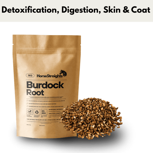 Burdock Root - Ashurst Equestrian & Country