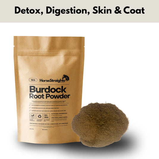 Burdock Root Powder