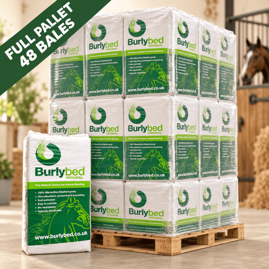 Burlybed Original Miscanthus Bedding 20kg – Full Pallet (48 Bales) - Ashurst Equestrian & Country