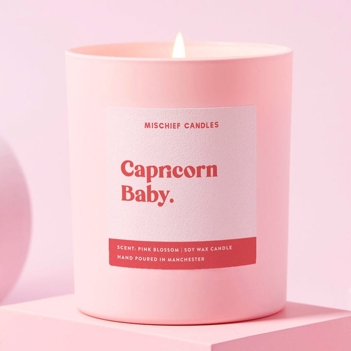 Capricorn Birthday Gift Funny Zodiac Candle Capricorn Baby - Ashurst Equestrian & Country